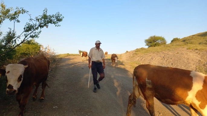 Besiciler çoban bulmakta zorlanıyor