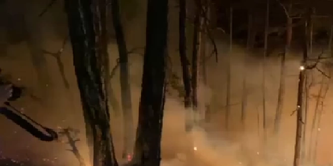 Bolu’daki orman yangını 8 saatte kontrol altına alındı