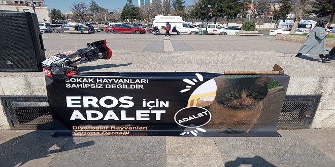 Diyarbakırlı hayvanseverlerden kısırlaştırma çağrısı