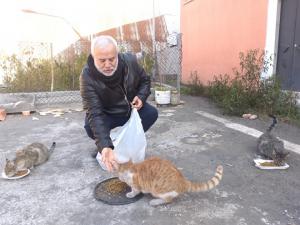 Diyarbakırda hayırseverler destek veriyor, sokak hayvanları mamasız kalmıyor