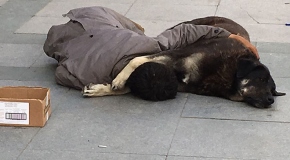 Sokak ortasında köpeğe sarılarak uyudu