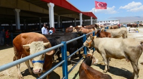 Kurban pazarlarında bayram öncesi hareketlilik