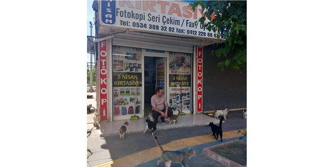 Kırtasiyecinin hayvan sevgisi takdir topluyor