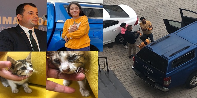 Minik Alya'nın hassasiyeti kediyi kurtardı, Diyarbakır Sokak Hayvanları Derneği devreye girdi